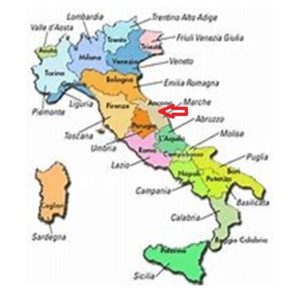 Marche Region/Regione Marche